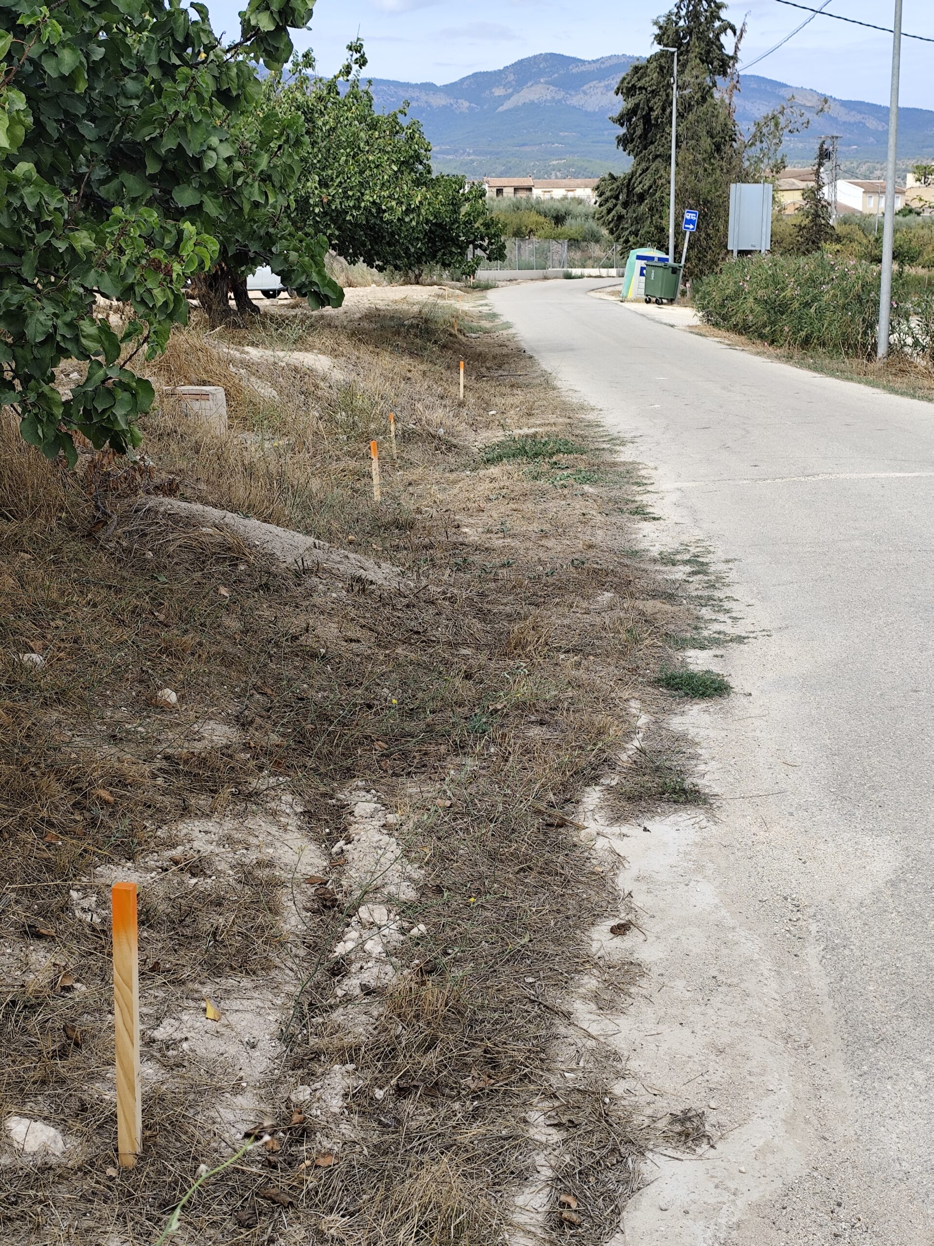 Detalle de estacas de replanteo junto al borde de un camino en una finca de Mula, Murcia