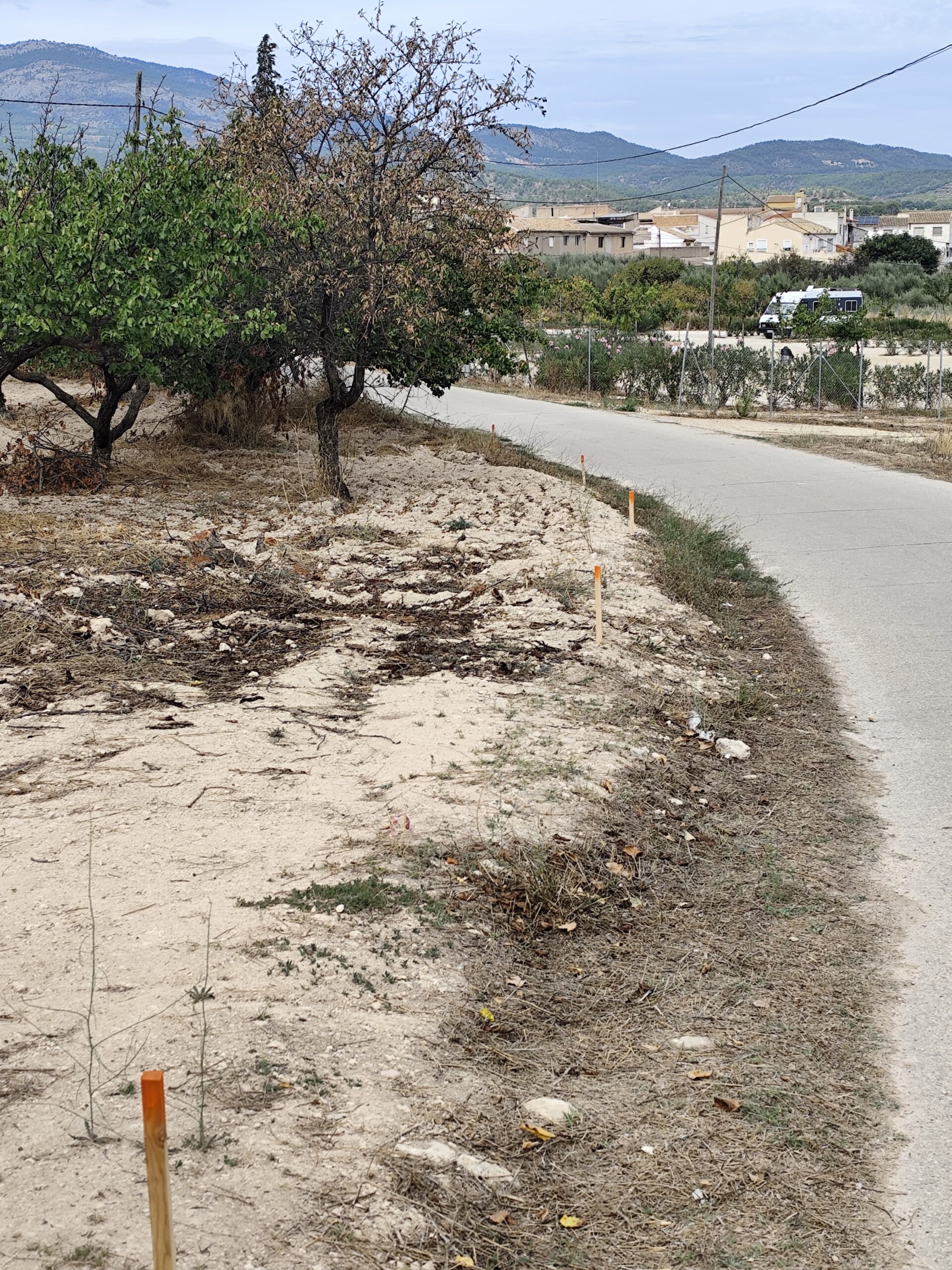 Estacas de replanteo marcando el límite de una finca junto a un camino público en Mula, Murcia